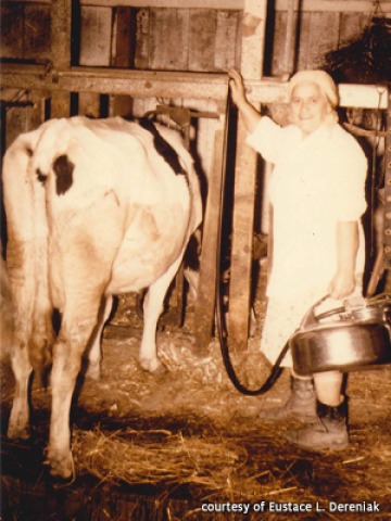 etendue-dereniak-mother-cow
