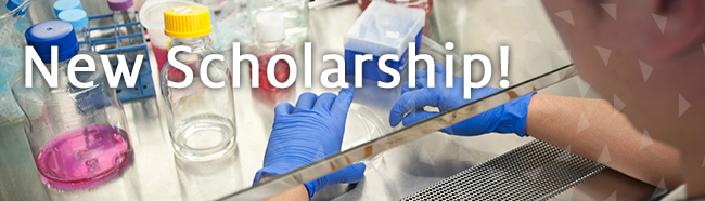 INTRODUCING THE ASML OPTICAL SCIENCES/OPTICAL ENGINEERING SCHOLARSHIP ...