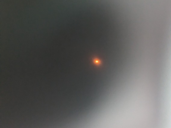 Walter Rahmer's Pinhole Camera Captures the Solar Eclipse