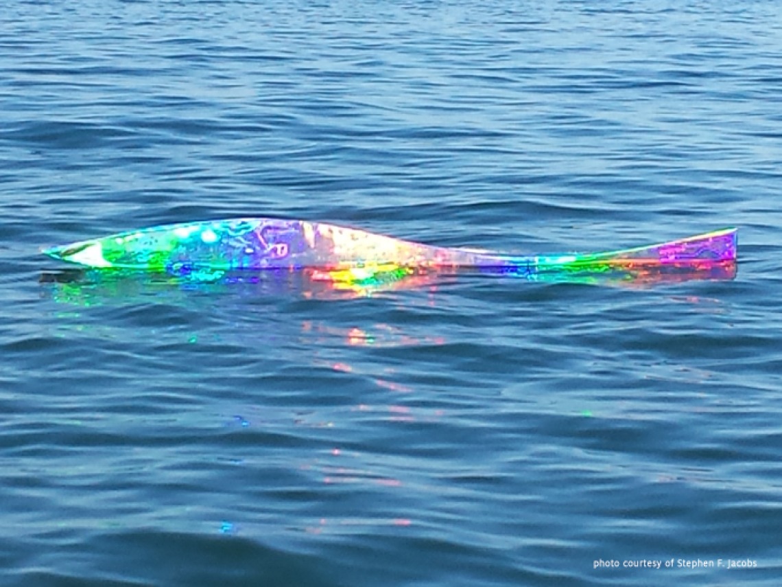 Diffractive Fish in Sea of Cortez, Photo - 4th floor OSC, 2013.