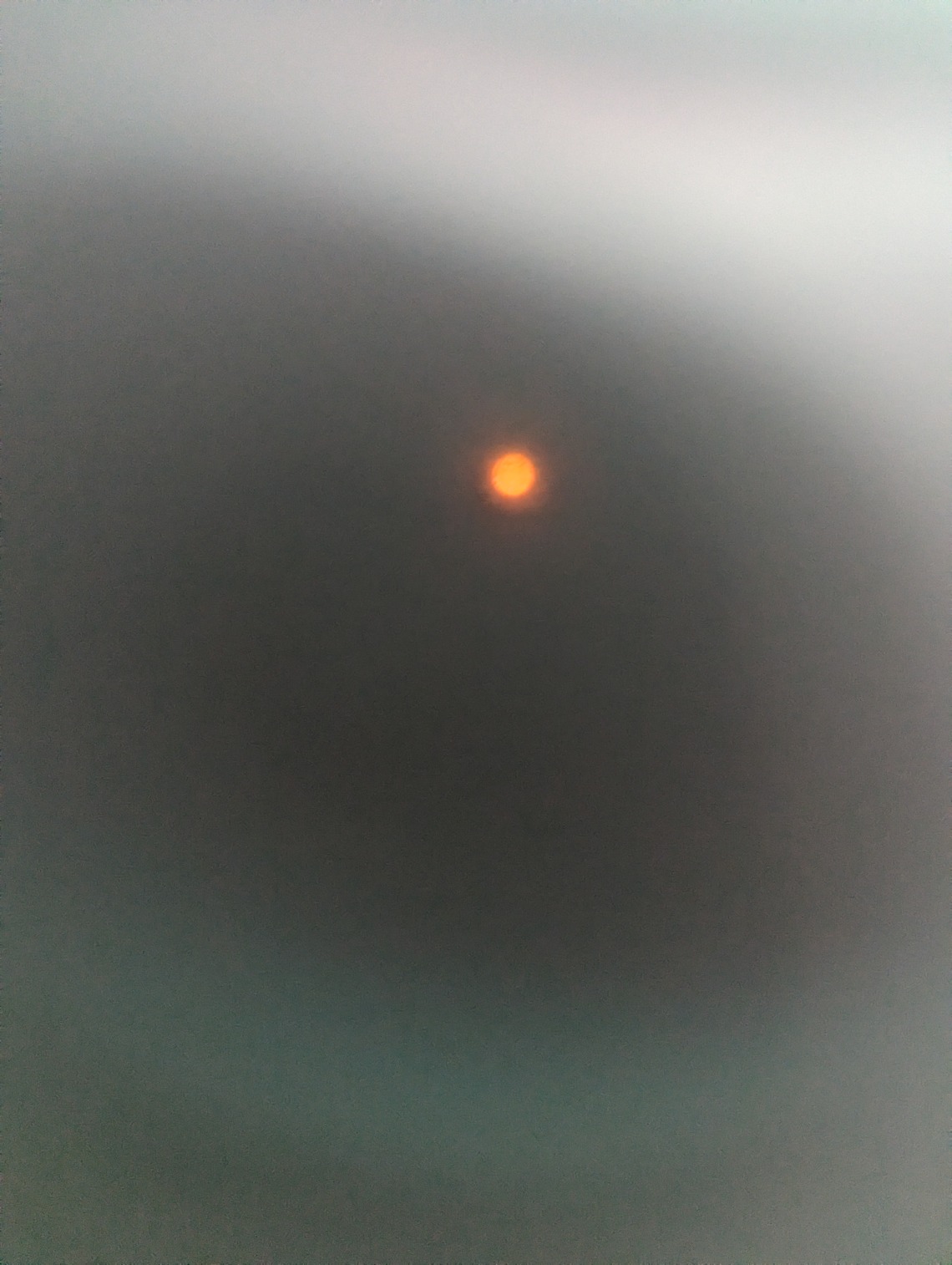 Walter Rahmer's Pinhole Camera Captures the Solar Eclipse