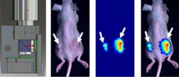 Far left: Image-guided surgical system. Right: Images of subcutaneous breast cancer mouse model.